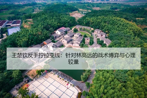 王楚钦反手拧拉变线：针对林高远的战术博弈与心理较量