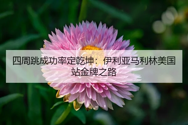 si-zhou-tiao-cheng-gong-lv-ding-qian-kun-yi-li-ya-ma-li-lin-mei-guo-zhan-jin-pai-zhi-lu-3-614.jpg