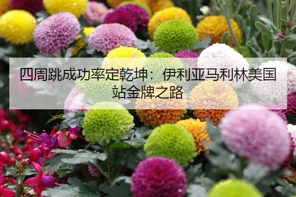 四周跳成功率定乾坤：伊利亚马利林美国站金牌之路