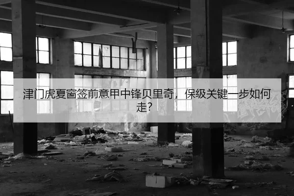 津门虎夏窗签前意甲中锋贝里奇，保级关键一步如何走？