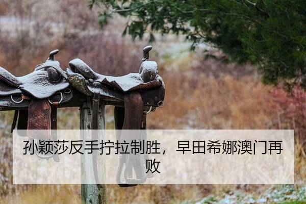 孙颖莎反手拧拉制胜，早田希娜澳门再败