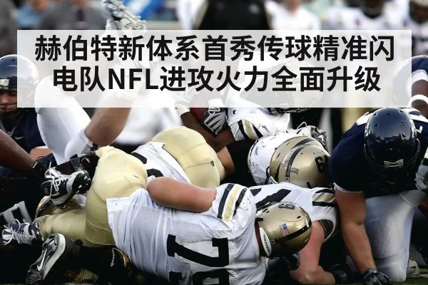 American football stadium action